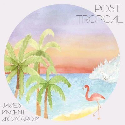 Afbeelding van Post Tropical
