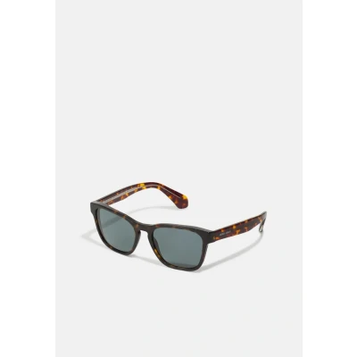 Afbeelding van Giorgio Armani AR8155 5879/R5 55 Zonnebril