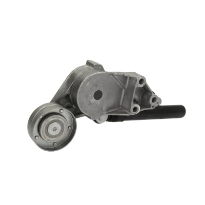 Afbeelding van Skf Spanrol (poly) V riem VKM 31012