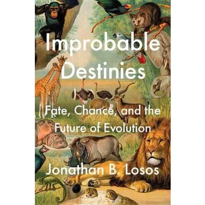 Afbeelding van Improbable Destinies
