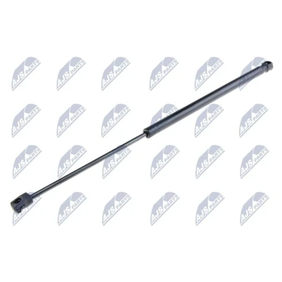 Afbeelding van NTY AE FR 030 Gasveer achterklep 290 544 FORD: FIESTA 6