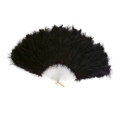 Image de Eventail En Plumes Noir
