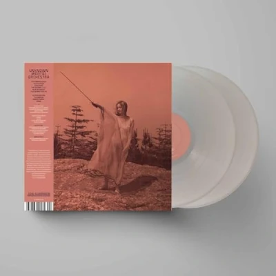Afbeelding van Unknown Mortal Orchestra Ii (2 LPs)