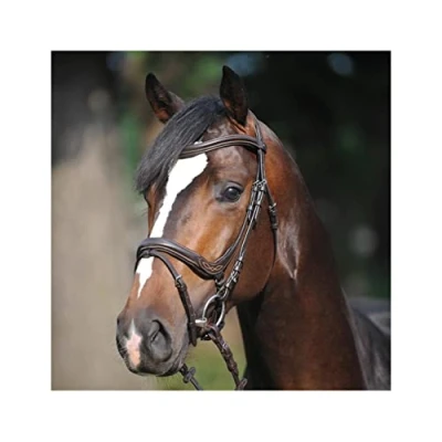 Image de Kavalkade Bridon Ivy Marron Full