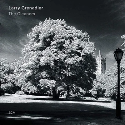 Afbeelding van Larry Grenadier Gleaners (LP)