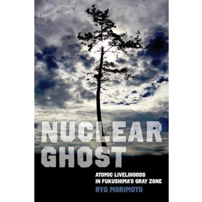 Afbeelding van California Series in Public Anthropology Nuclear Ghost