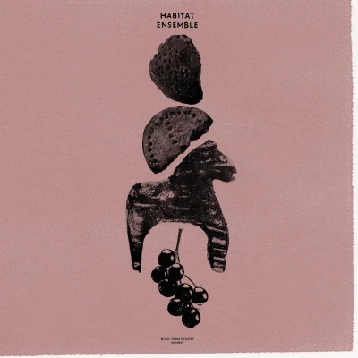 Afbeelding van The Habitat Ensemble (LP)