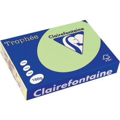 Afbeelding van Clairefontaine Trophée Pastel, gekleurd papier, A4, 160 g, 250 vel, groen papier