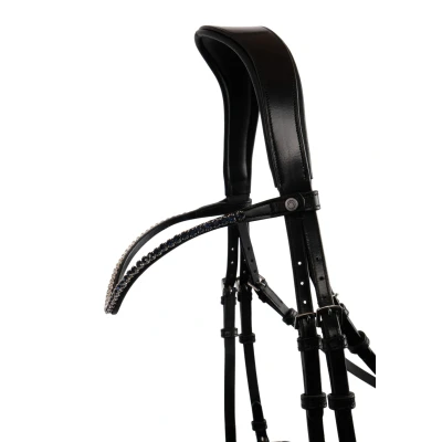 Image de Montar Frontal Fair Crystal Curved Marin/Noir Full