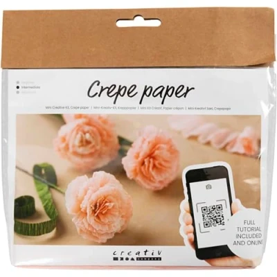 Afbeelding van Crêpepapier Creotime DIY anjers