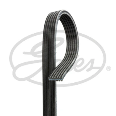 Afbeelding van Gates Poly V riem 6DPK2184