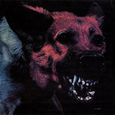 Afbeelding van Protomartyr Under Color Of Official (CD)