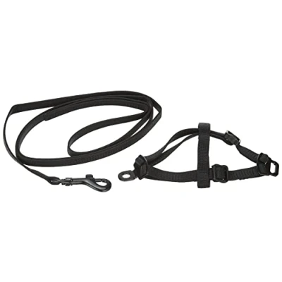 Afbeelding van Nobby Nylon fret/rat stel (Knaagdieren), Kraag + Leiband