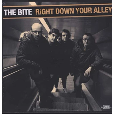 Afbeelding van The Bite Right Down Your Alley (LP)