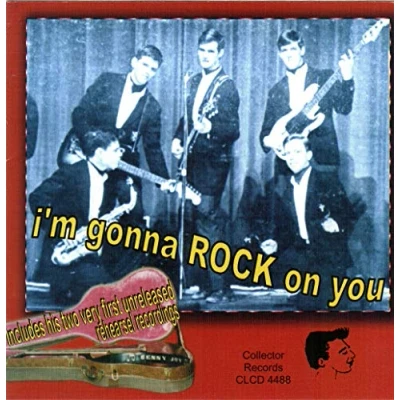 Afbeelding van Various Artists I&#039;m Gonna Rock On You (CD)