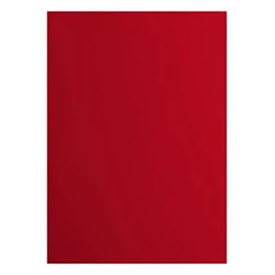 Afbeelding van Vaessen Creative Florence 2927 030 10 vellen glad karton 216 g/m² rood DIN A4 voor scrapbooking, kaarten maken, ponsen en andere papierknutselwerk