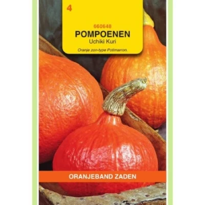 Afbeelding van Pompoenen uchiki kuri