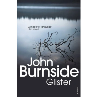 Afbeelding van Glister