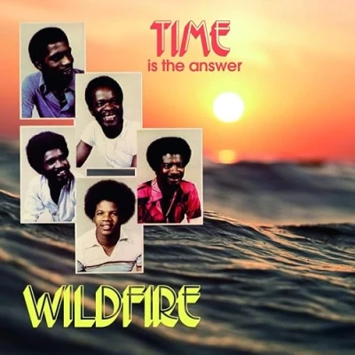 Afbeelding van Wildfire Time is the Answer (LP)