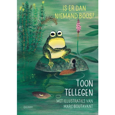 Afbeelding van Is er dan niemand boos
