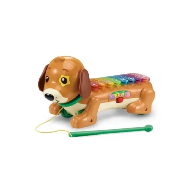 Afbeelding van Vtech Timmie Teckel Xylofoon.