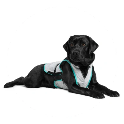 Afbeelding van Suitical Dry Cooling Vest Small