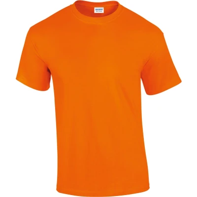Afbeelding van Fruit of the Loom Ladies` Ringspun Premium T Zinc S