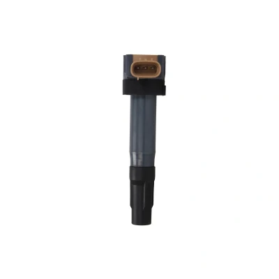 Afbeelding van Bobine DELPHI GN10615 12B1