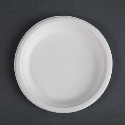 Afbeelding van Fiesta Compostable composteerbare bagasse borden 17,9cm (50 stuks)
