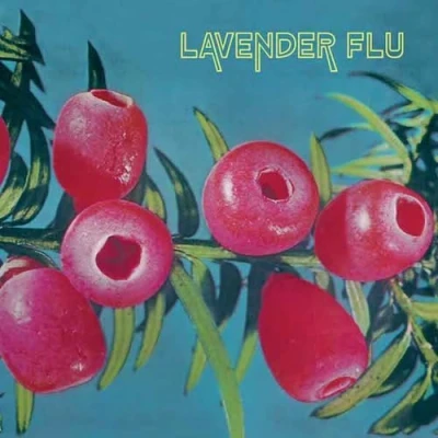 Afbeelding van The Lavender Flu Mow Glass (LP)