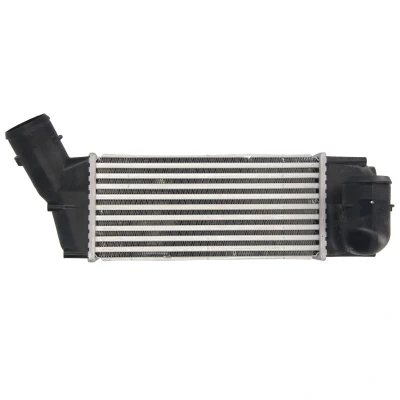 Afbeelding van THERMOTEC DAC018TT Intercooler