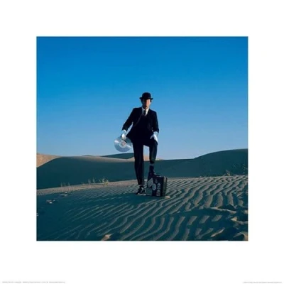 Afbeelding van Pyramid Poster Pink Floyd Invisible Man 40 X Cm Multicolor