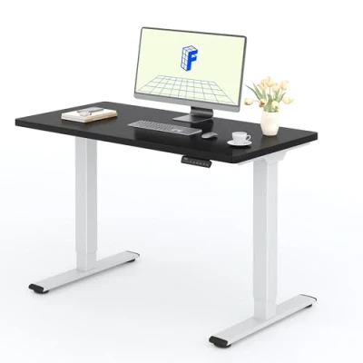 Afbeelding van FLEXISPOT 2 motoren, staand, 120 x 60 cm, eendelig, elektrisch stabureau met paneel geheugenfuncties, in hoogte verstelbaar bureau, belasting 100 kg, wit + zwart