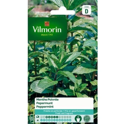 Afbeelding van Pepermunt Mentha piperita