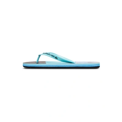 Afbeelding van Quiksilver Molokai Stripe 25 Teenslippers, Heren, Maat: 46, Bqv Kunststof
