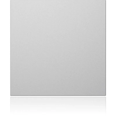 Afbeelding van Ritto by Schneider 1876620 Accessoires voor deurintercom Zilver