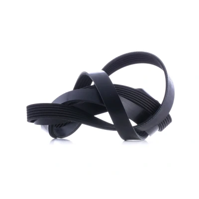 Afbeelding van Febi Bilstein Poly V riem 29019