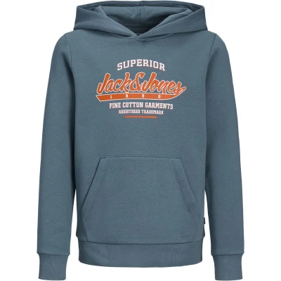 Afbeelding van Jack &amp; Jones Junior LOGO MINI Hoodie voor kinderen, Maat: 116, Oceanview