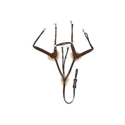 Image de Collier de chasse cinq points Havane Poney