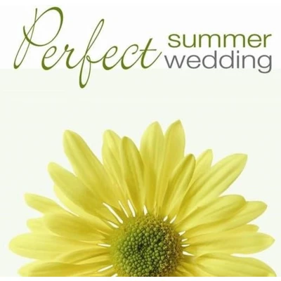 Afbeelding van Various Artists Perfect Summer Wedding (CD)