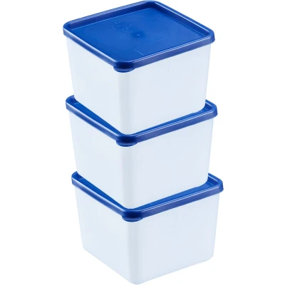 Afbeelding van Westmark Diepvriesdozen 0.75L 3 Stuks Blauw/Wit