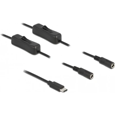 Afbeelding van Delock 86800 Kabeladapter USB Type C 2 x DC 5,5 2,1 mm Zwart (1 m), Stroomkabel