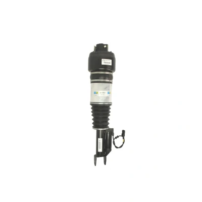 Afbeelding van Pneumatische veerpoot BILSTEIN 44 100827