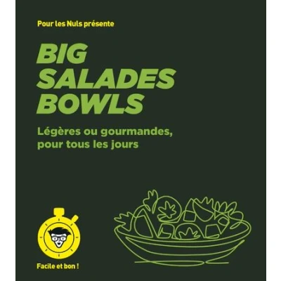 Image de Big salades bowls pour les Nuls, Facile et bon
