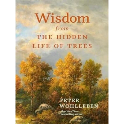 Image de Wisdom from the hidden life of tree
