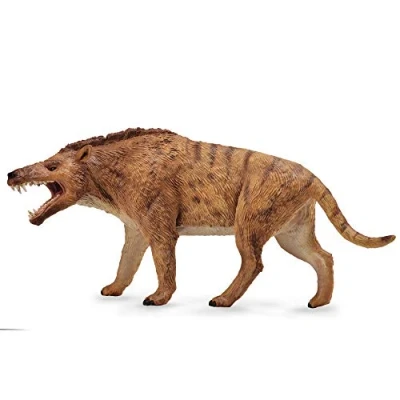 Afbeelding van Collecta Dinosaurus Prehistorie Andrewsarchus 19,5 X 9,3 Cm