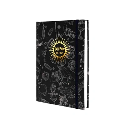 Afbeelding van Harry Potter zakalender 2025, 14,5 x 21,5 cm