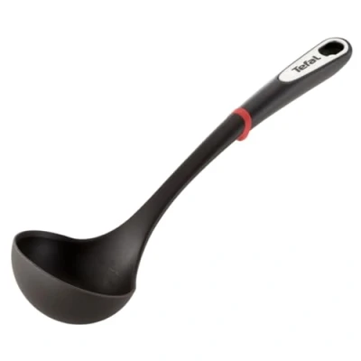 Image de TEFAL LOUCHE INGENIO