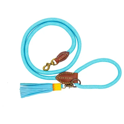 Afbeelding van Dwam Looplijn Turquoise Hondenriem 155x1.4 cm