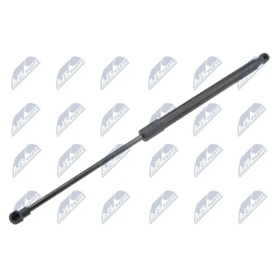 Afbeelding van NTY AE CT 050 Gasveer achterklep 355 462